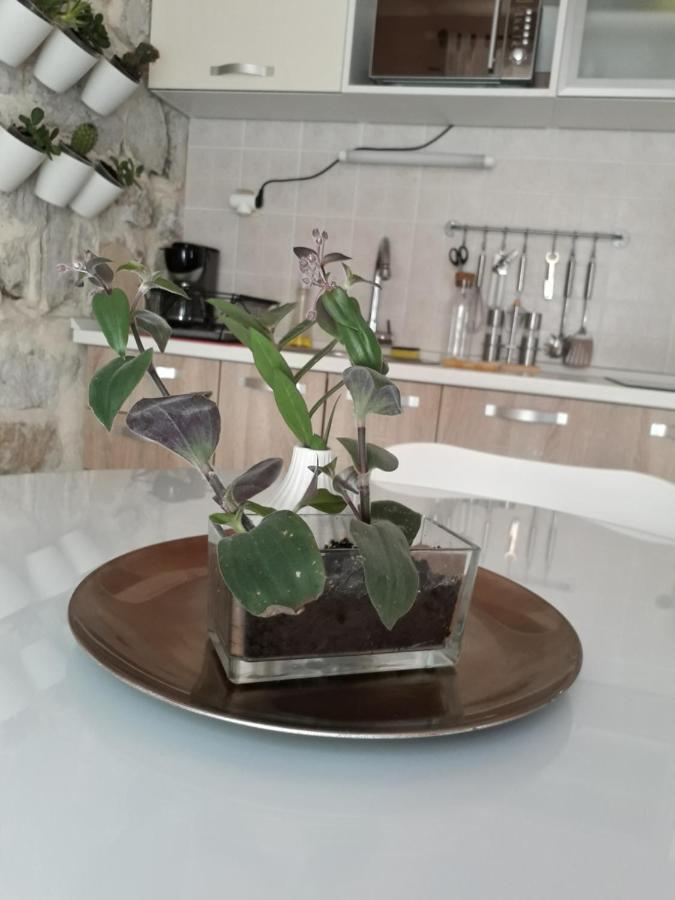 Leut Apartment コルチュラ エクステリア 写真
